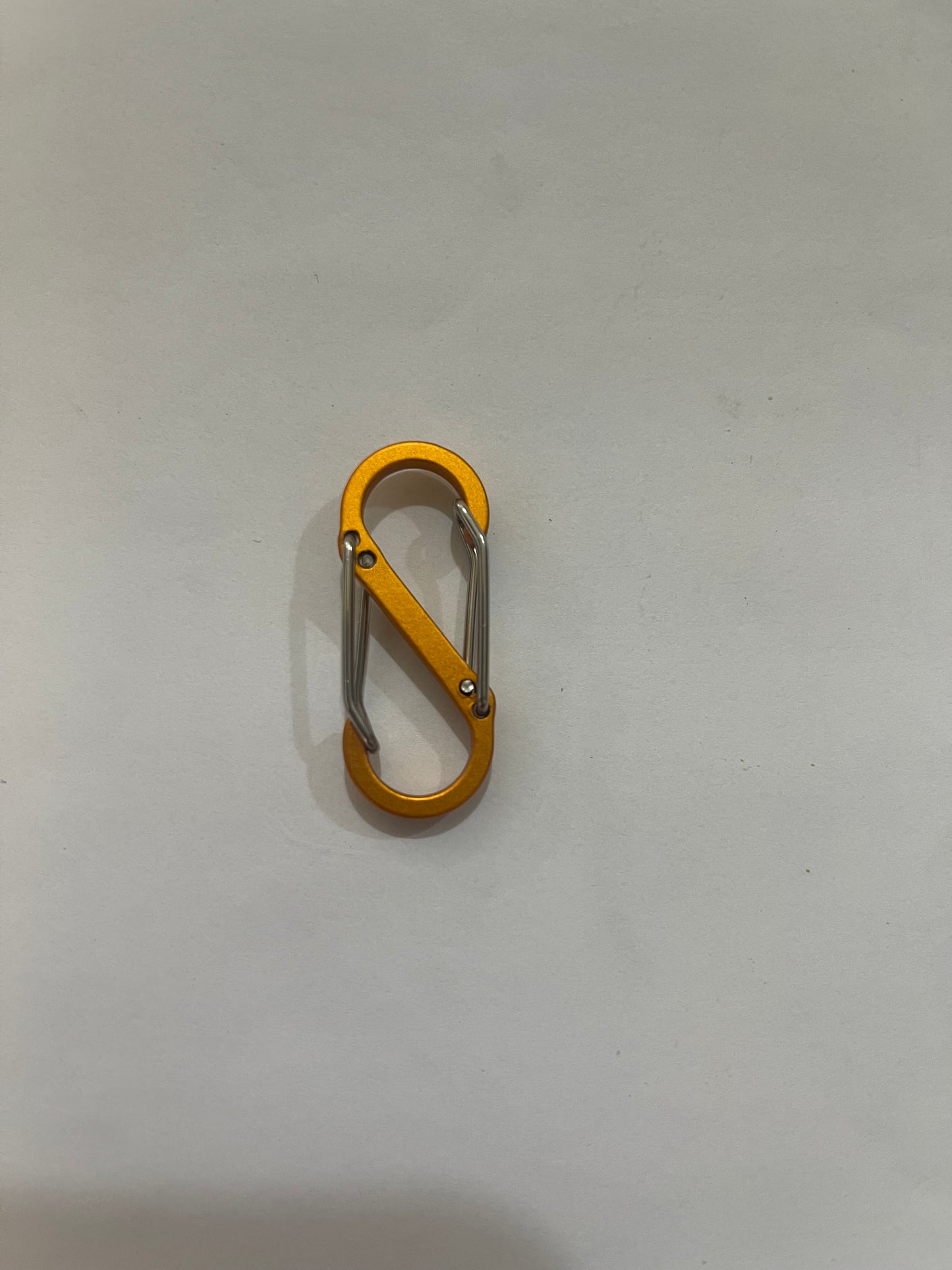 Dual Carabiner