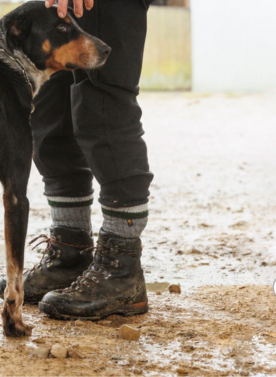 Swazi Men's Farm Sock