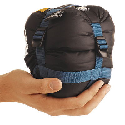 Roman Palm IV - Reef blue +5