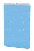Companion - Ice Brick