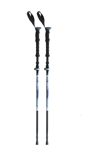 Walking Poles - Rental