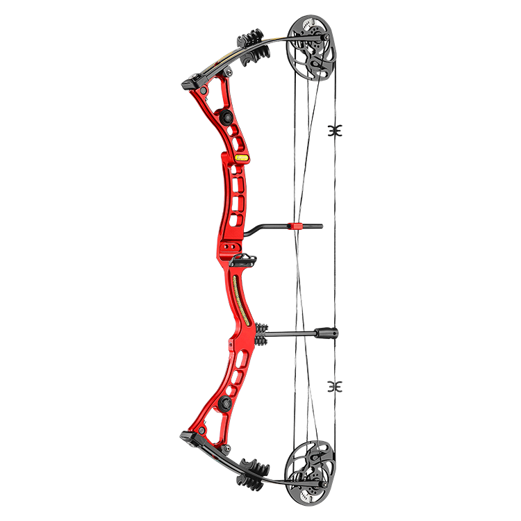 Compound Bow