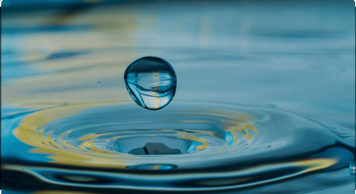 Water Filters & Purification
