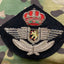 WW2 Belgian Air Force Warrant Officer's cap Badge