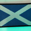Patches/Badges  (With hook and loop fastener back or Sew on)