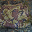 DPM  Basha/Hoochie/Tarp - NZ Army