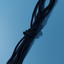 Shoe laces various colours $3 a pair, save $2