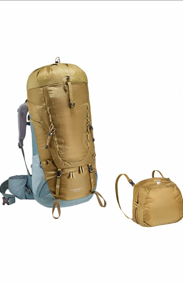 Two backpacks, one large and one small, on a white background