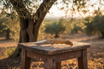 A folding pocket knife with a textured brown handle and silver blade rests on a rustic wooden stool in an olive grove at sunset.