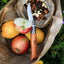 Fruit and nuts in a brown paper bag with a knife on a grassy background