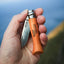 Hand holding a wooden-handled folding knife with 'Opinel' branding against a blurred natural background.