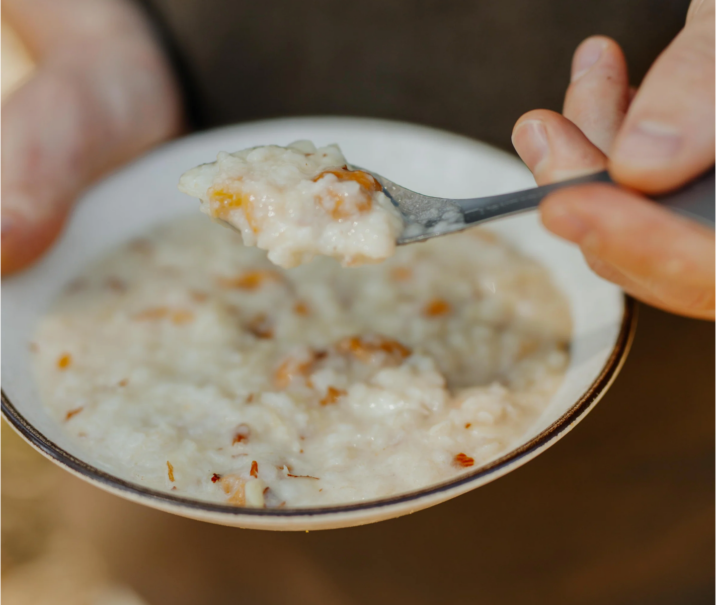 Back Country Apricot Rice Pudding