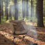 Outdoor chair in forest
