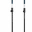 walking pole on white background