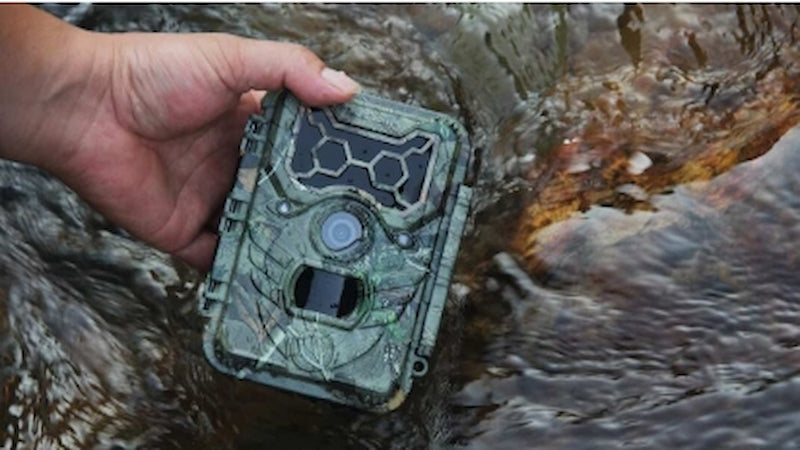 WILDGUARDER GUARD1 TRAIL IR CAMERA & VIDEO HD 12MP (4032 x 3024) ZERO GLOW IR FLASH. 32GB. SD CARD OR HDMI . 65 FT SENSOR. IP66 12 X AA BAT.