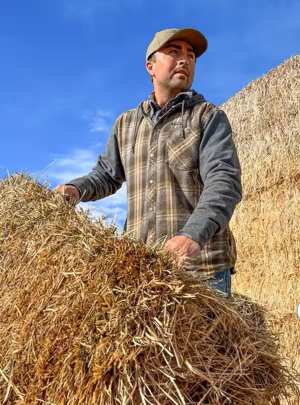 Swazi Apprentice Shirt