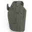 Common Holster
