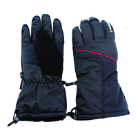 Inferno - Mountain Gloves Waterproof  (Unisex)