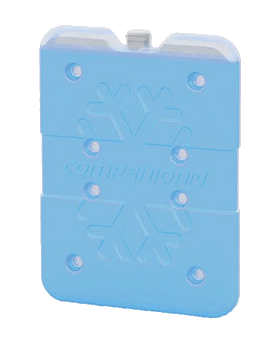 Companion - Ice Brick