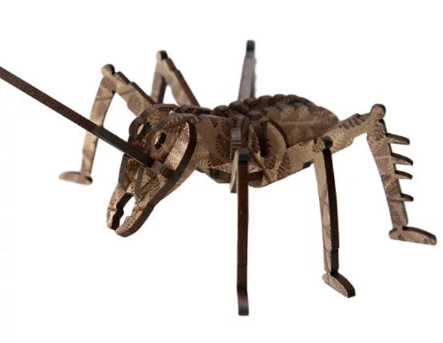 Make Your Own - Flat Pack/Kit Set New Zealand Icons