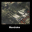 Warchief - Stretch Camouflage Adhesive